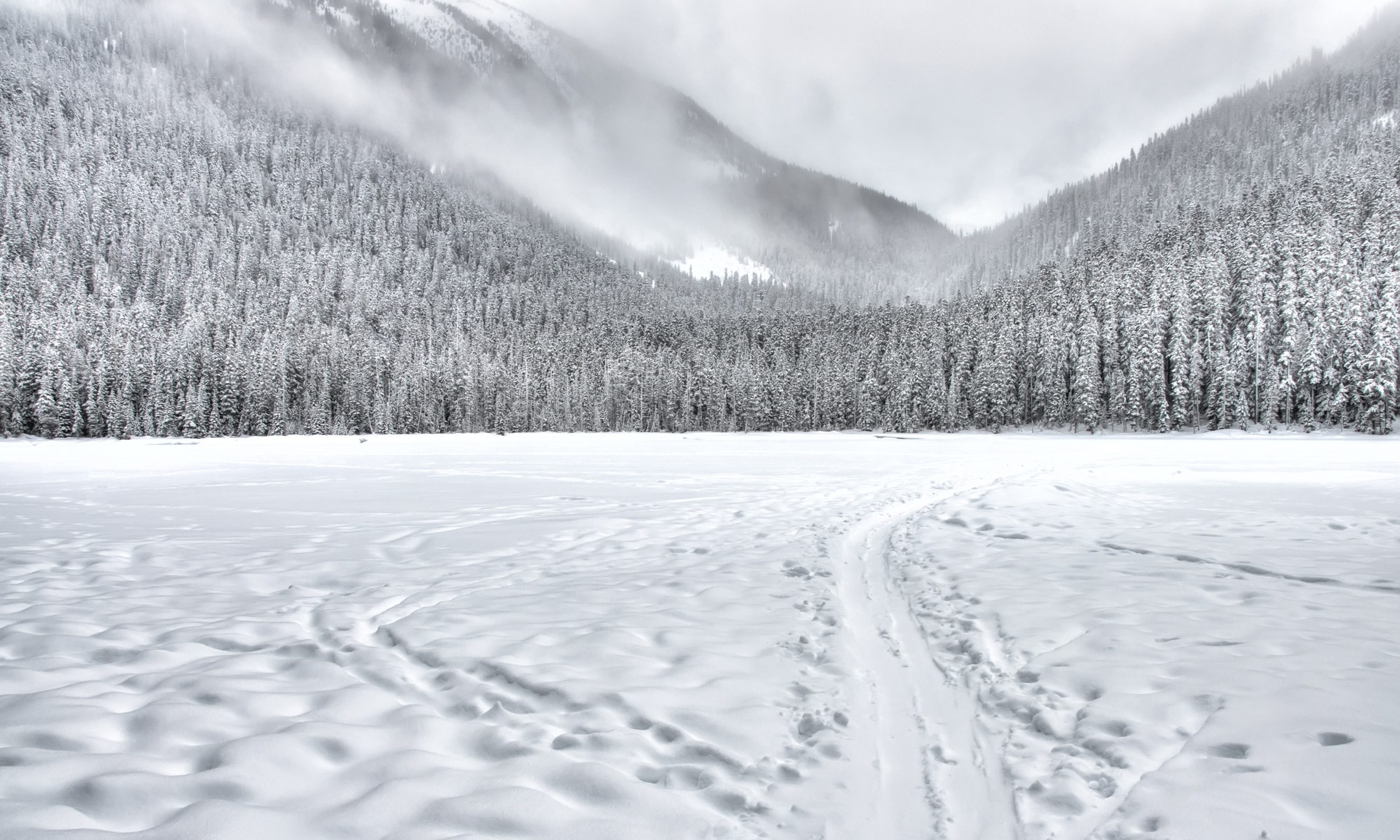 Avancer dans la neige